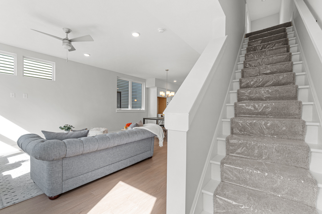 Knez Homes